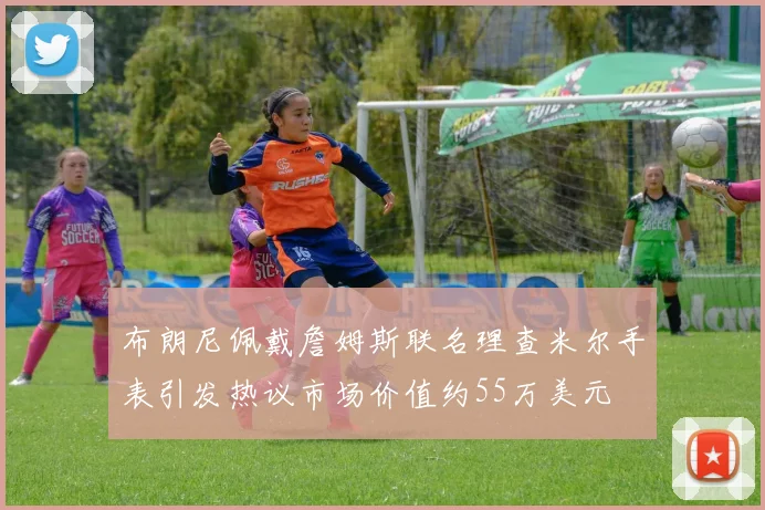 布朗尼佩戴詹姆斯联名理查米尔手表引发热议市场价值约55万美元