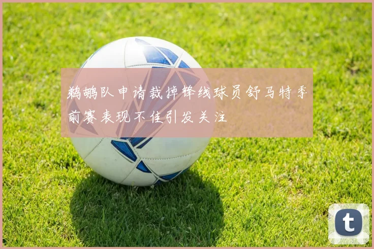 鹈鹕队申请裁掉锋线球员舒马特季前赛表现不佳引发关注