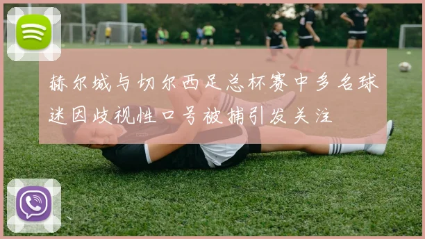 赫尔城与切尔西足总杯赛中多名球迷因歧视性口号被捕引发关注